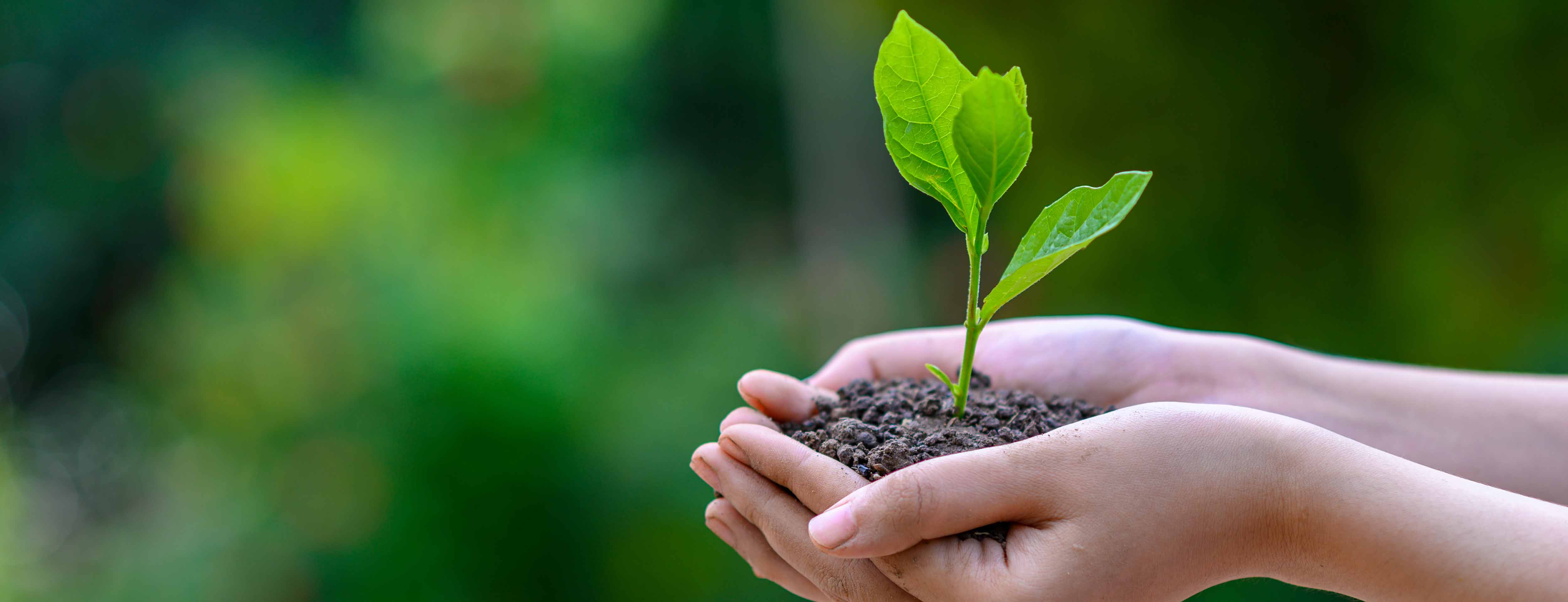 en av våre dobbletdekker på fergekaia